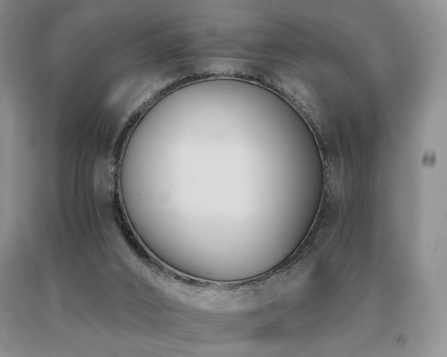X0000091070016200708061311