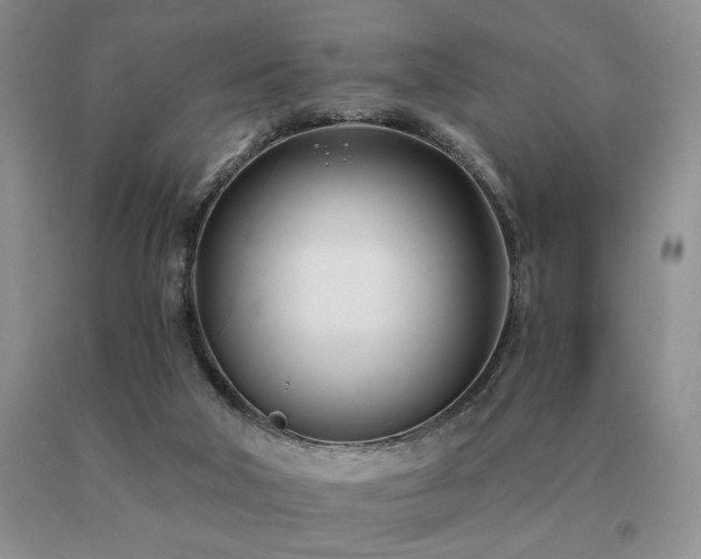 X0000091070018200708061311