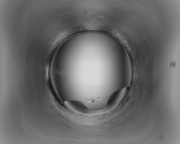 X0000091070019200708061311