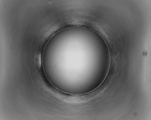 X0000091070020200708061311