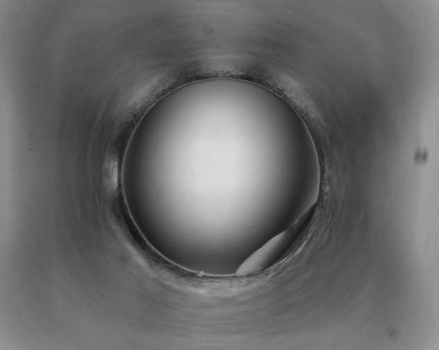 X0000091070021200708061311