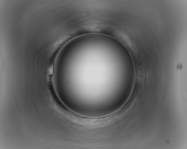 X0000091070023200708061311