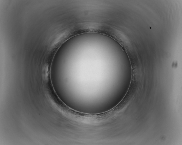 X0000091070024200708061311