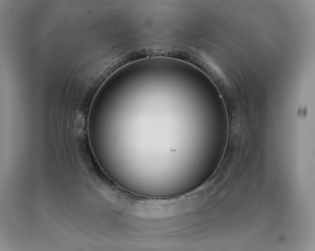 X0000091070025200708061311