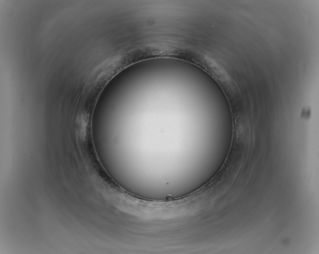X0000091070026200708061311