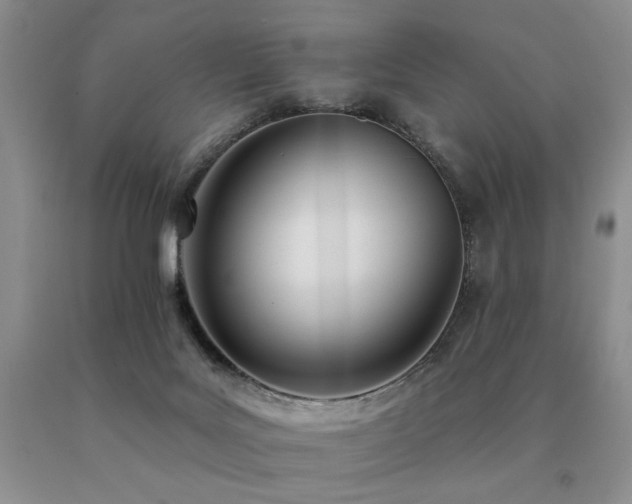 X0000091070027200708061310