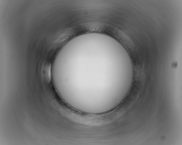 X0000091070028200708061310