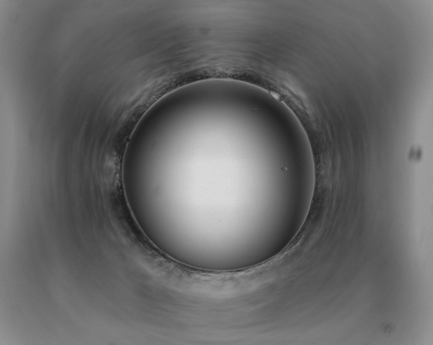 X0000091070029200708061310