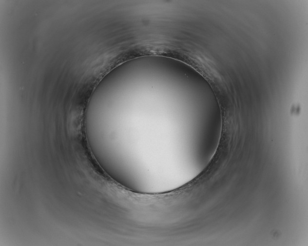 X0000091070030200708061310