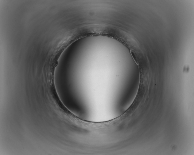 X0000091070031200708061310
