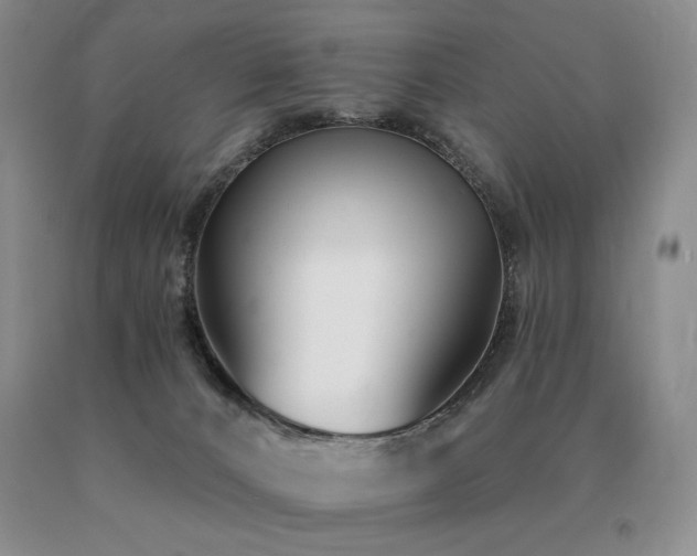 X0000091070032200708061310
