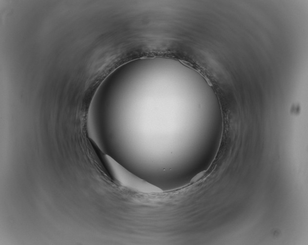 X0000091070033200708061310