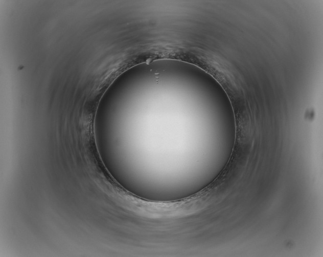 X0000091070034200708061310
