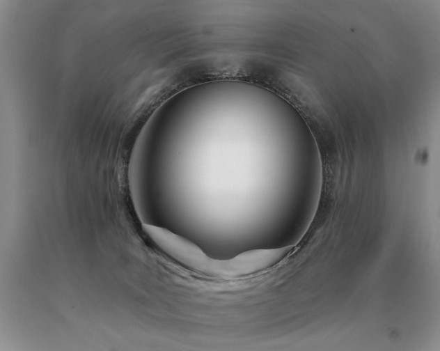 X0000091070035200708061310