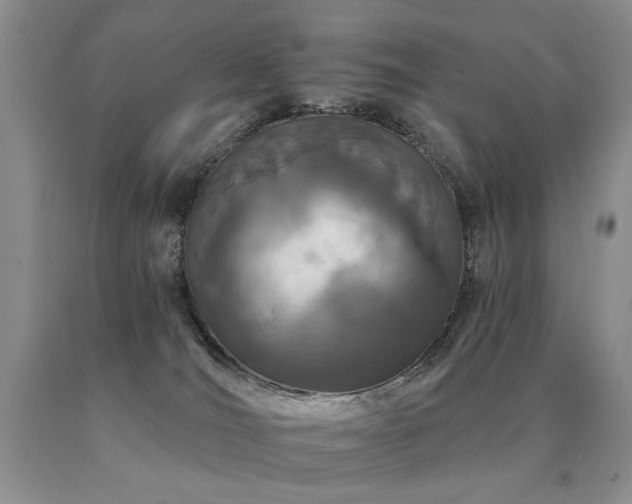 X0000091070036200708061310