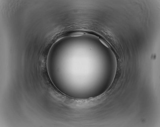 X0000091070037200708061310
