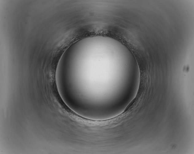 X0000091070039200708061310