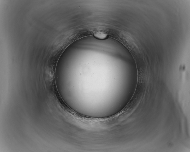X0000091070040200708061310