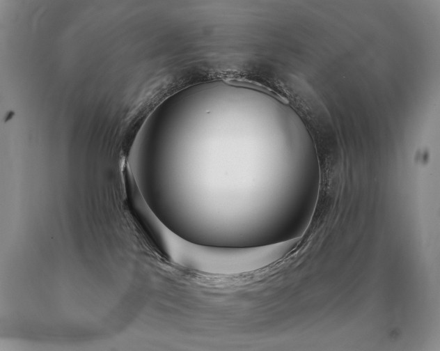 X0000091070041200708061310