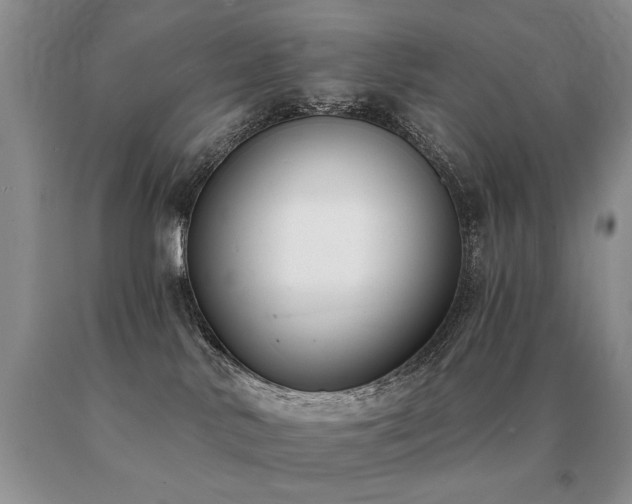 X0000091070042200708061310