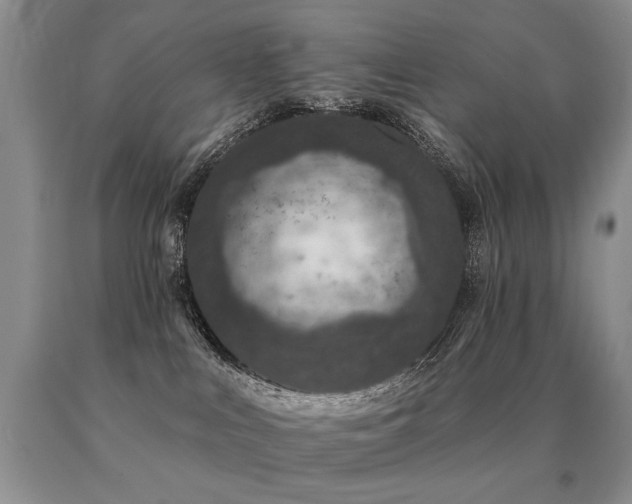 X0000091070043200708061310
