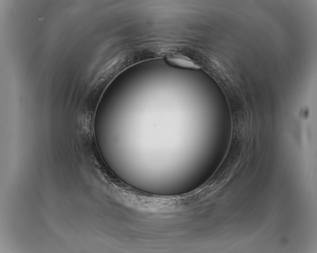 X0000091070044200708061310