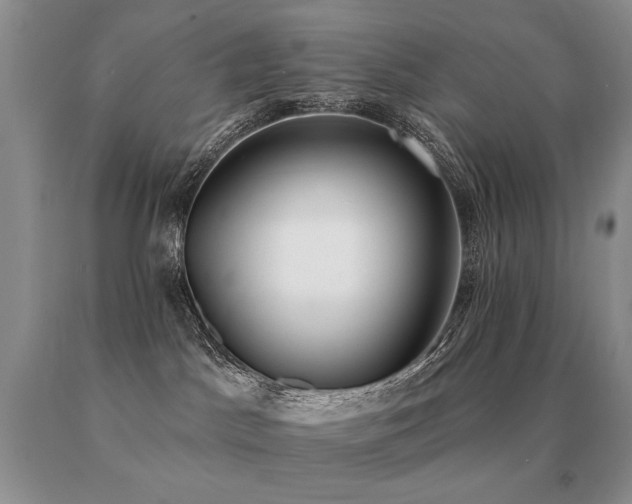 X0000091070045200708061310