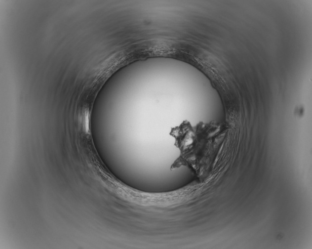 X0000091070046200708061310