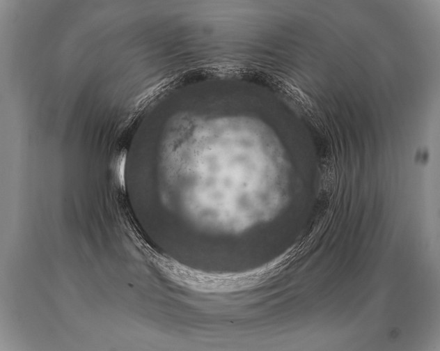 X0000091070047200708061310