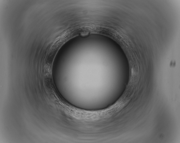 X0000091070048200708061310