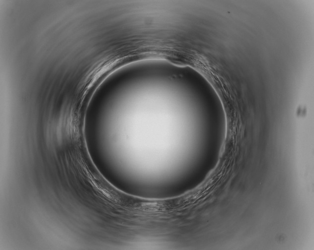 X0000091070050200708061309