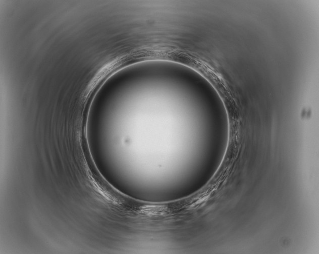 X0000091070051200708061309