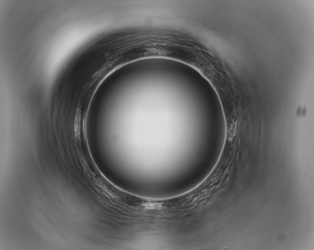 X0000091070052200708061310