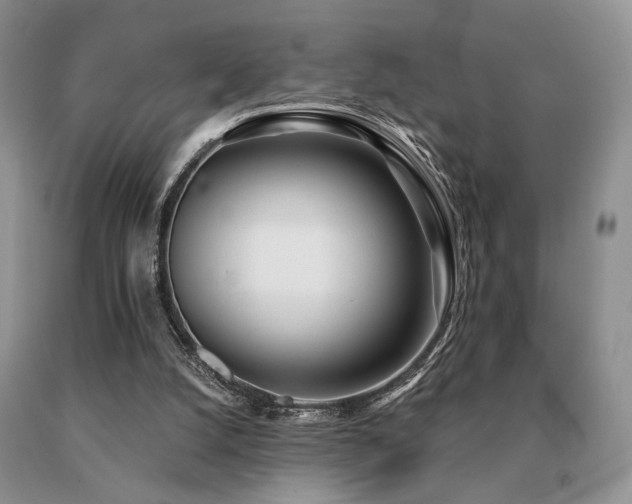 X0000091070056200708061310