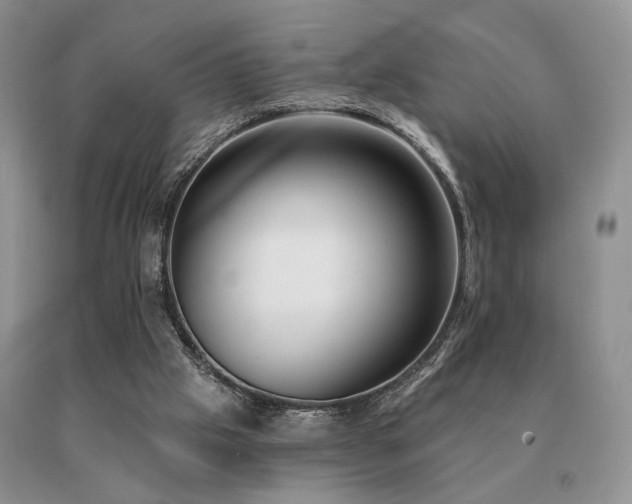 X0000091070057200708061310