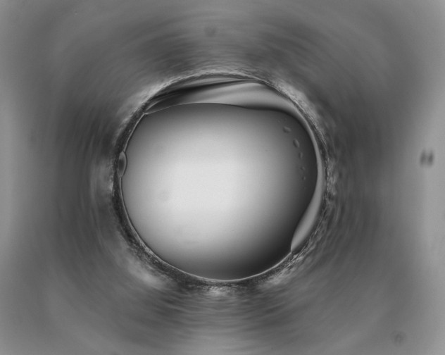 X0000091070060200708061310