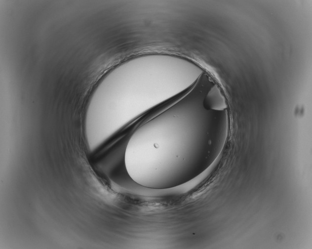 X0000091070061200708061310