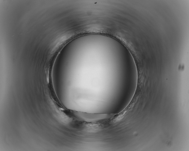 X0000091070062200708061310