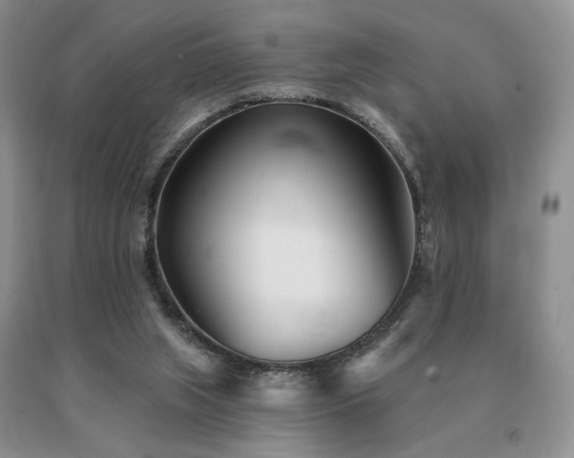 X0000091070063200708061310