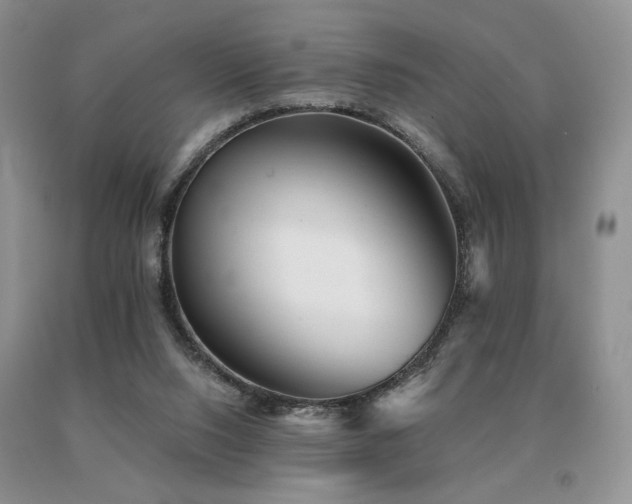 X0000091070064200708061310