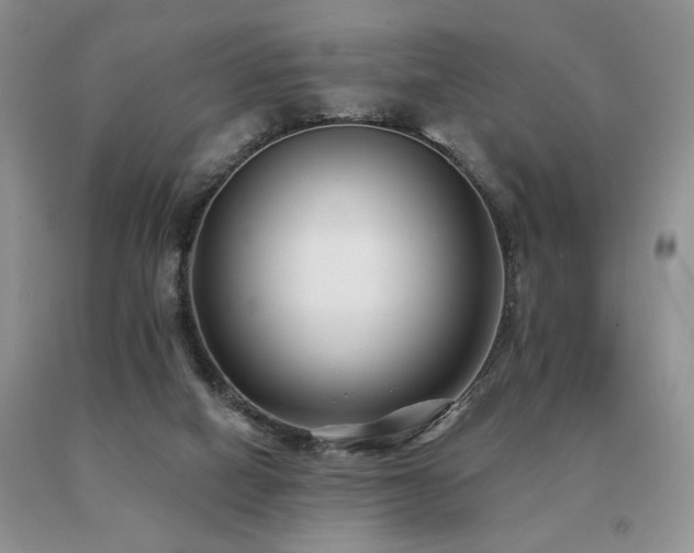 X0000091070066200708061310