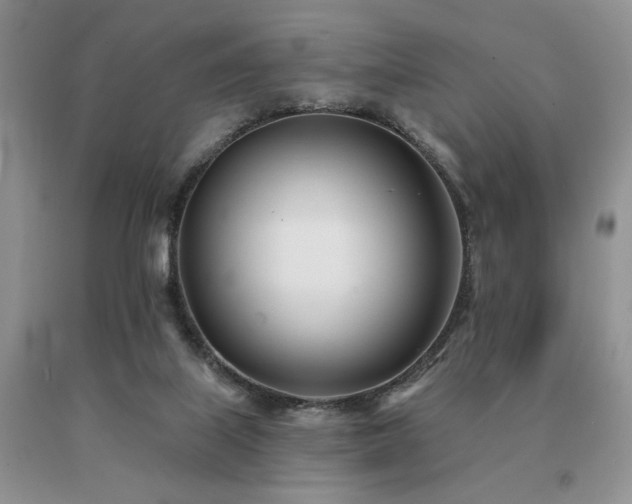 X0000091070067200708061310