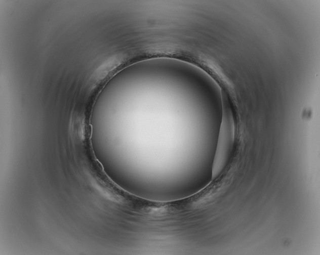 X0000091070068200708061310
