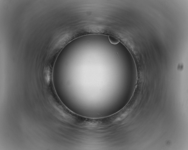 X0000091070069200708061310
