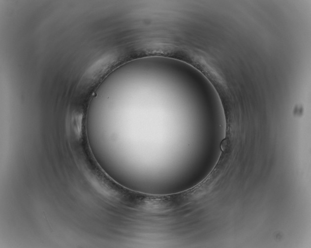 X0000091070070200708061310