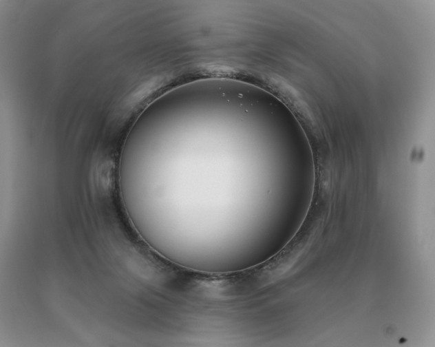 X0000091070071200708061310