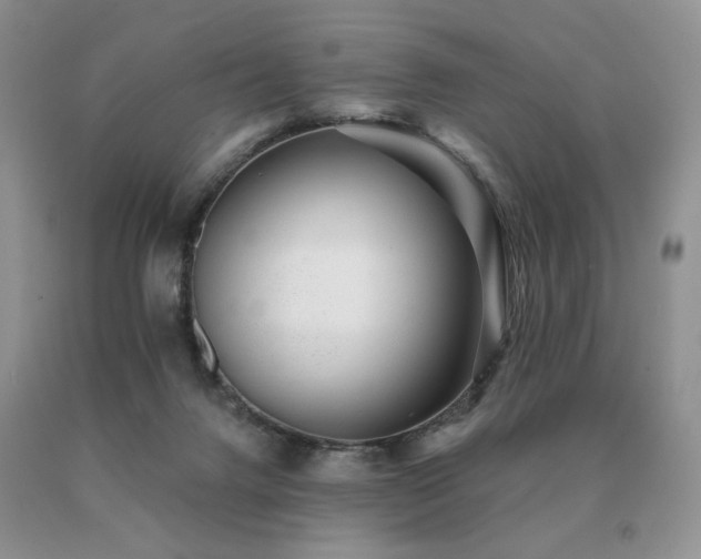 X0000091070072200708061310