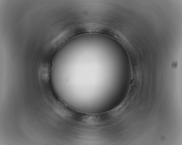 X0000091070074200708061310
