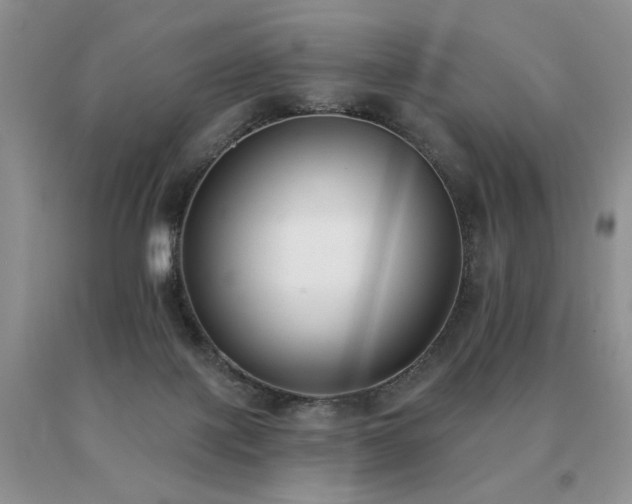X0000091070075200708061310