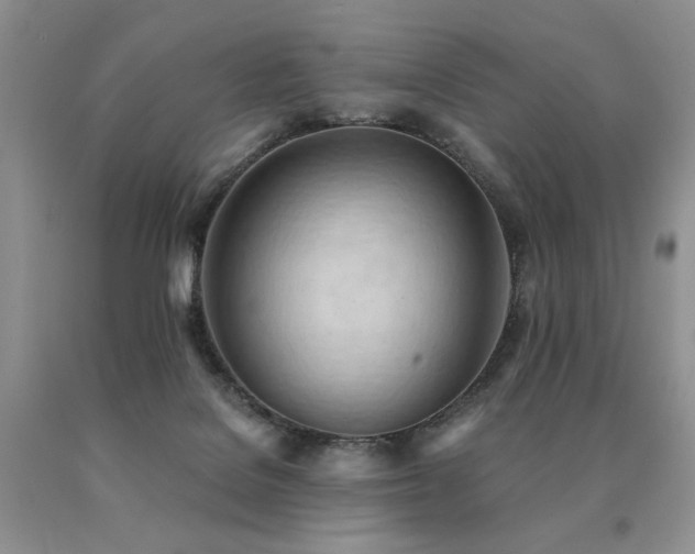 X0000091070076200708061310